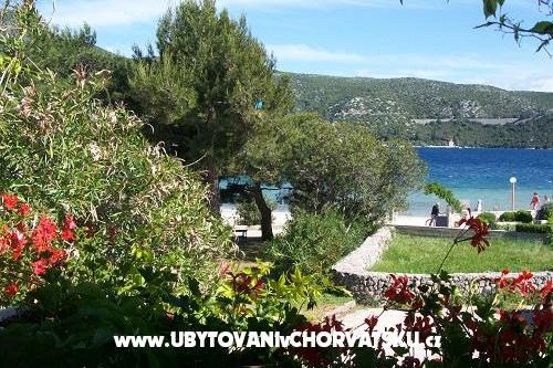 Appartements POLAČA - Slano – foto 9