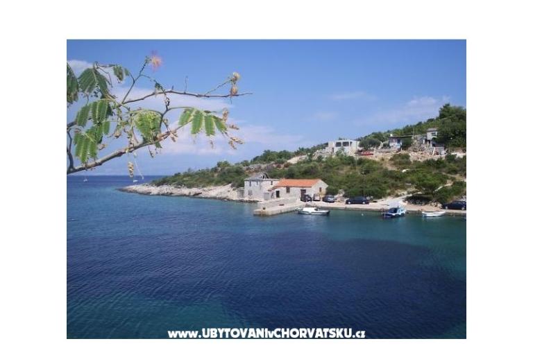 Vesna Batinic – foto 16