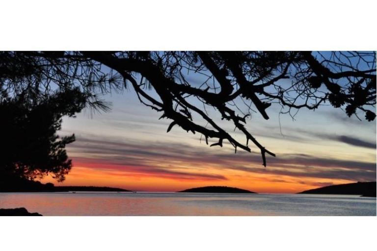 Appartements Oliva - Otok Šolta – foto 11