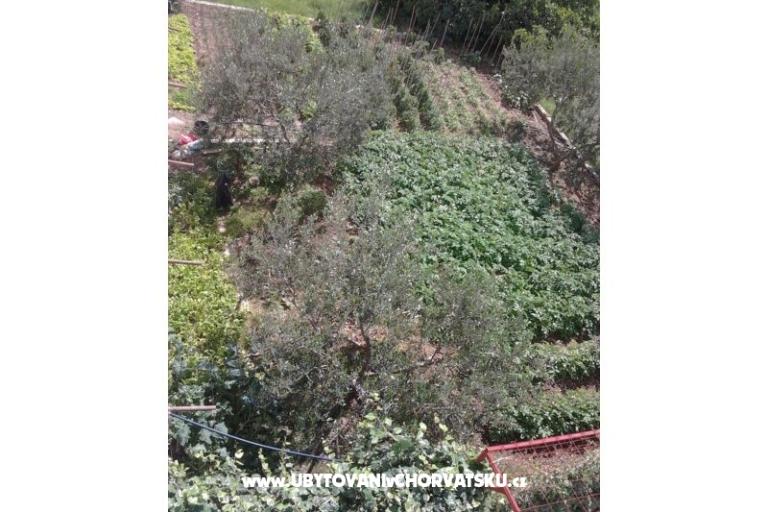 ADRIATIQ Appartements – foto 16