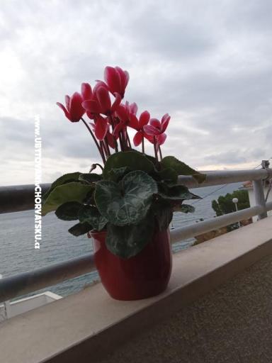 Appartement Jagoda – foto 23