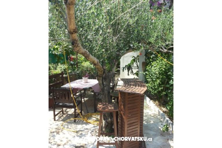 Appartements SILVA /                  – foto 12