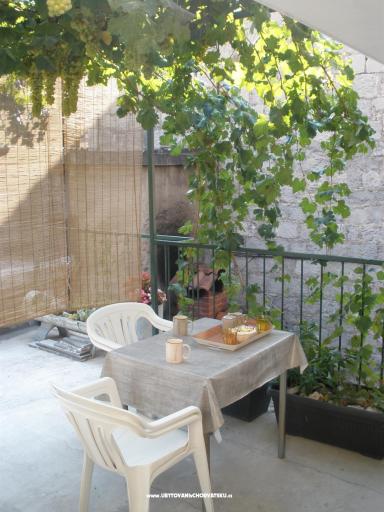 Chambres Pasko – foto 7