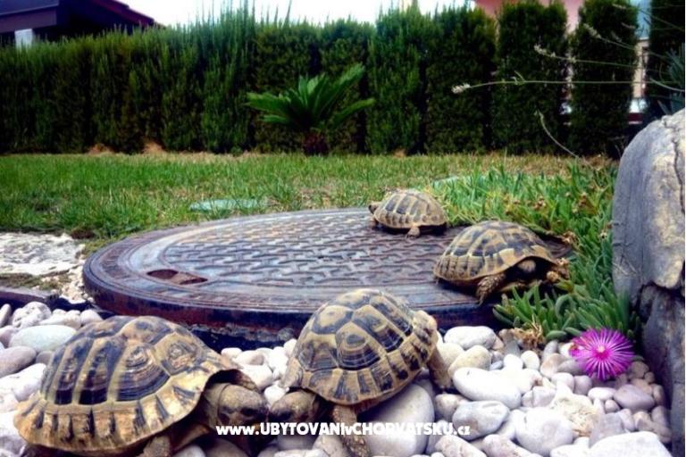 Appartement Dujmovic – foto 5