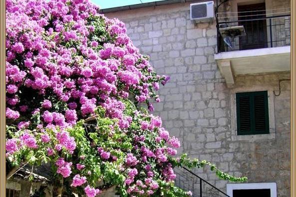 Stress Out Appartement – foto 2