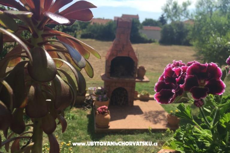 Appartement Dana – foto 11