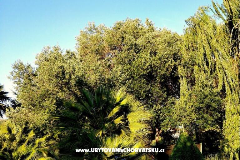 Appartements DARIO - Sukošan – foto 37