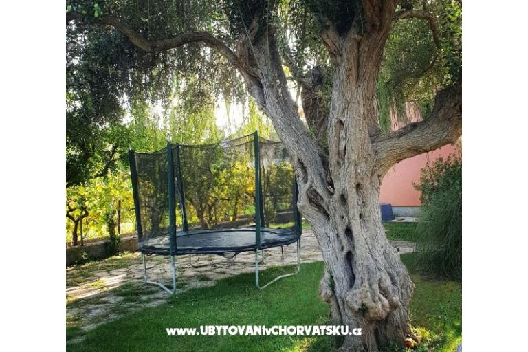 Appartements DARIO - Sukošan – foto 9