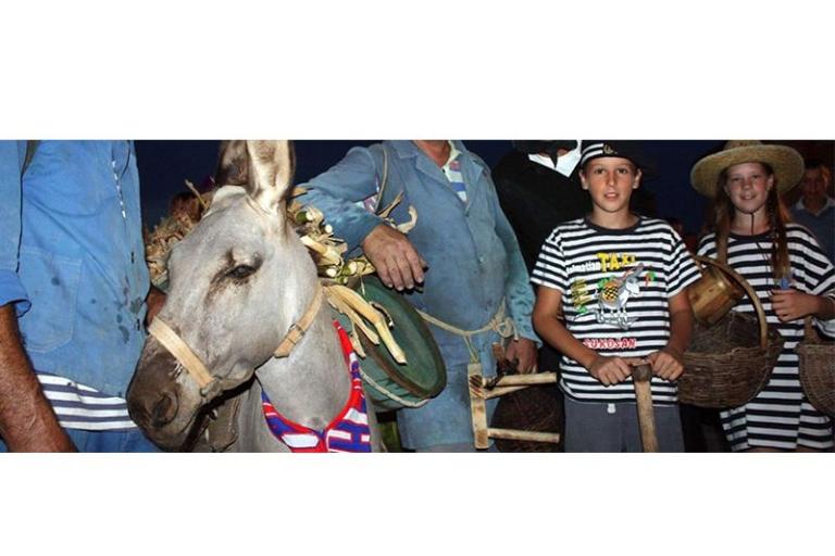 Appartements Gašparović – foto 13