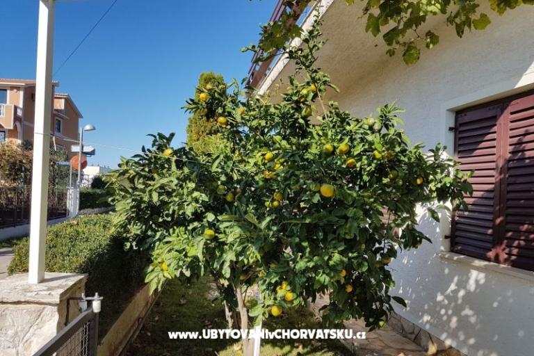 Appartements Žeger – foto 13