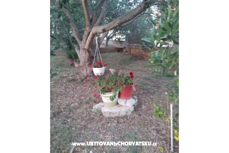 Appartements Daša – foto 17