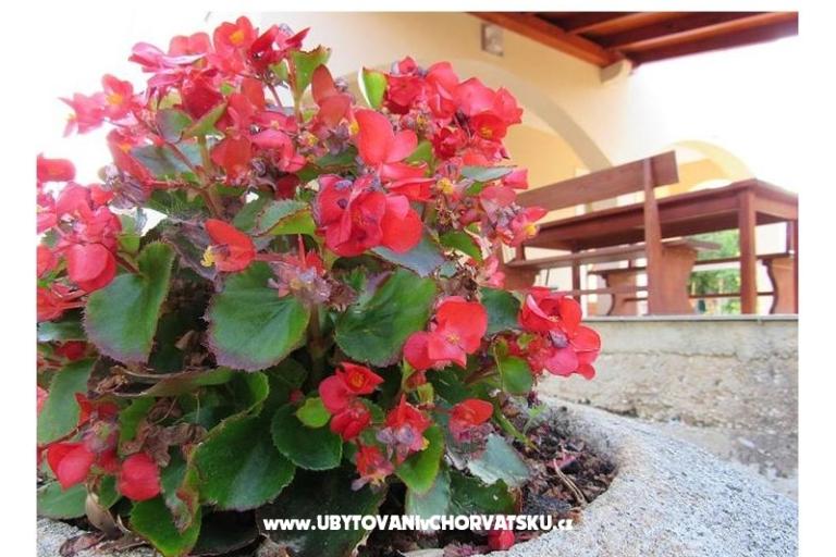 Maison de vacances Dević – foto 15
