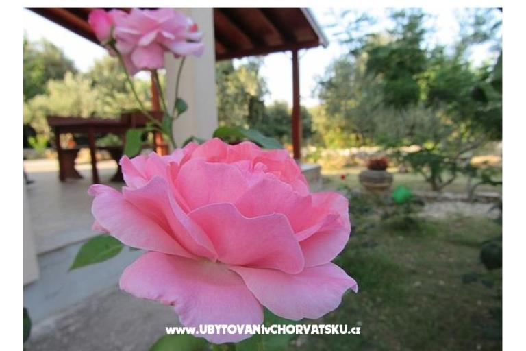 Maison de vacances Dević – foto 2
