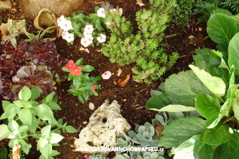 Appartements Petranic – foto 15