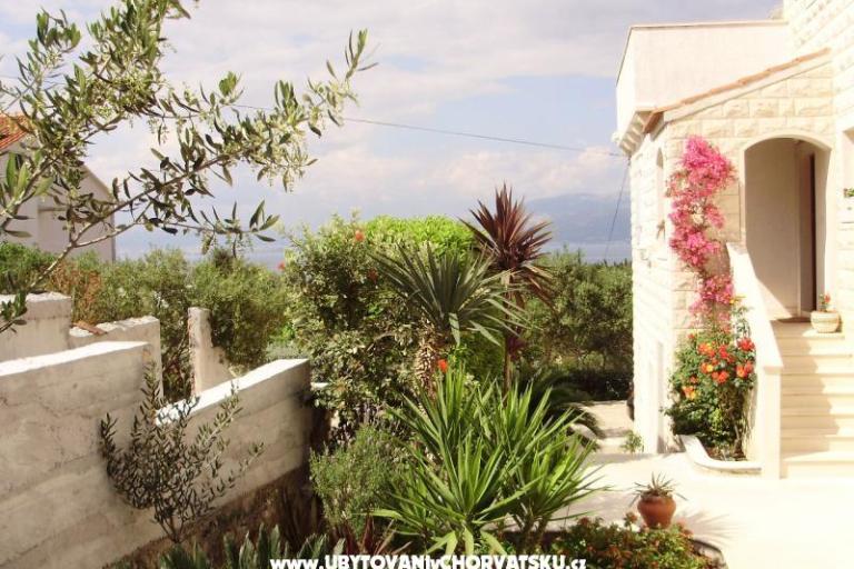 Appartements Petranic – foto 16