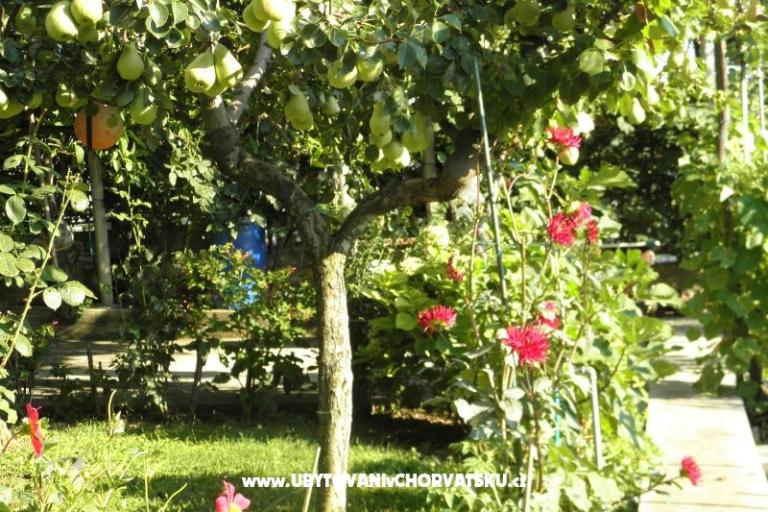 Appartements Lucija – foto 16