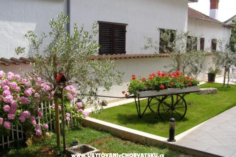 Appartements Roviš – foto 7