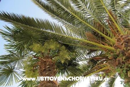 Appartement Antea – foto 17