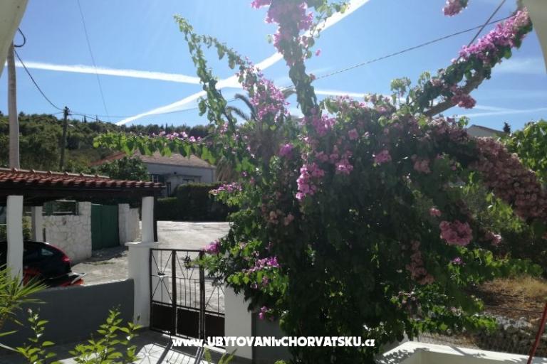 Apartman Ivica – foto 18
