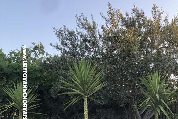 Appartement Marijo – foto 9