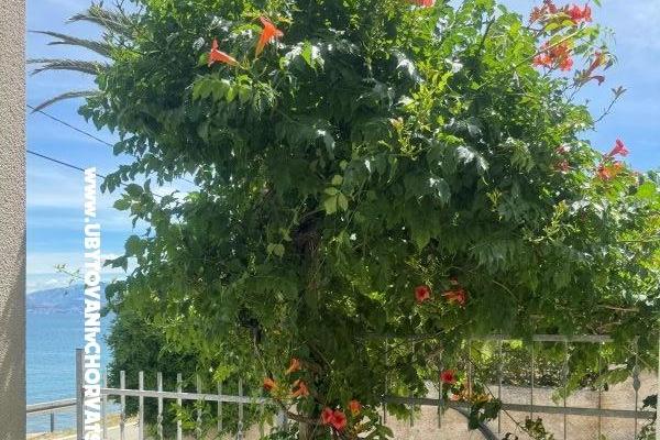 Appartements Adria – foto 20