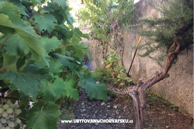 Appartements Adria – foto 5