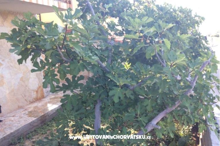 Appartements Adria – foto 6