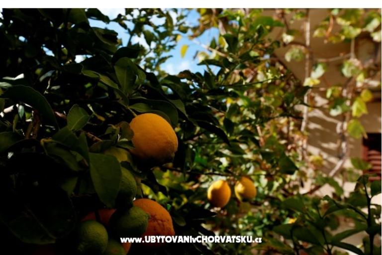 Baković - sur la plage – foto 10