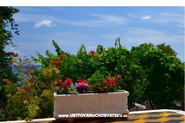 Appartements Ivan Okrug Gornji – foto 6