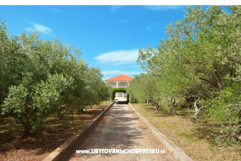 Appartements Lukas – foto 11