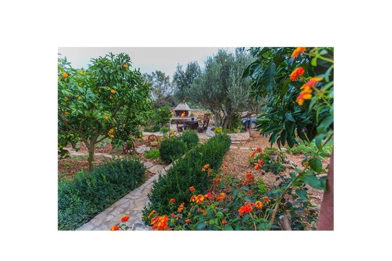 Appartements Marin*** – foto 6