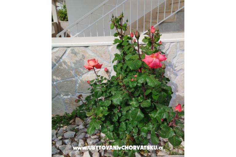 Appartements Marin – foto 8