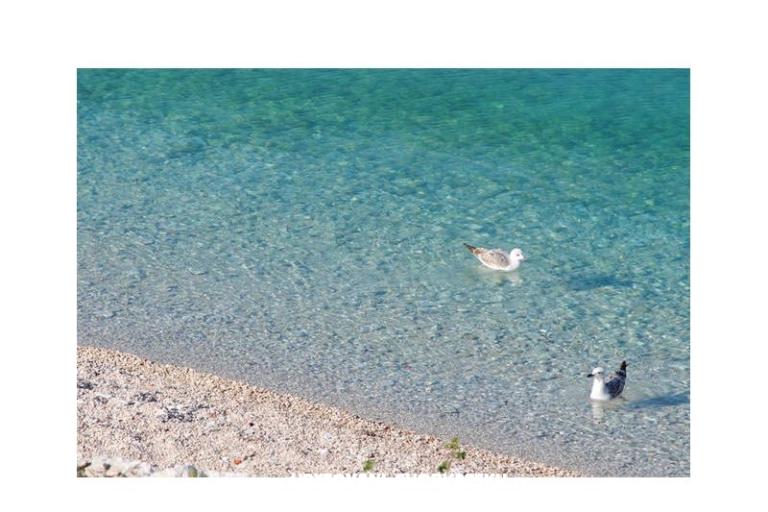 Appartements Neva – foto 7