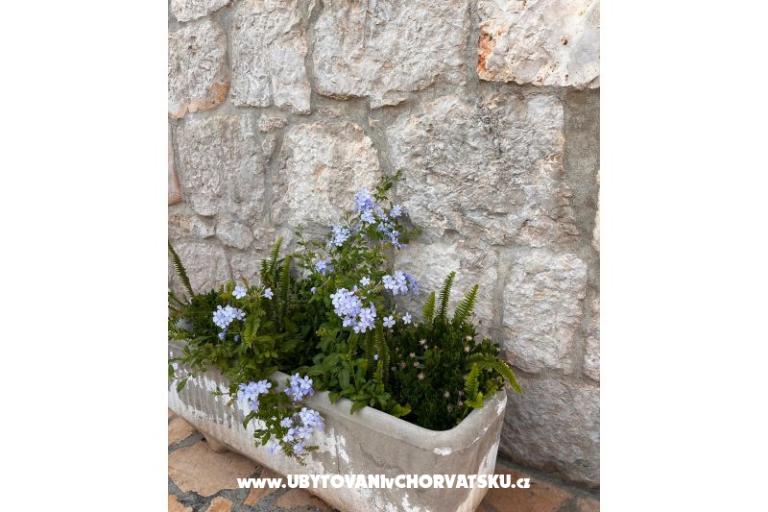 Appartements Tri palme – foto 18