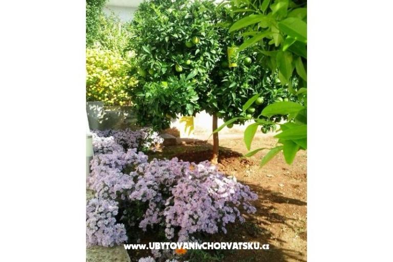 Appartements Zubak – foto 3