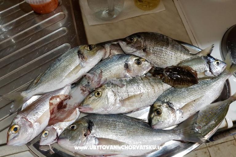 Appartements Bijelić – foto 16