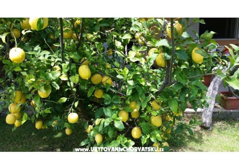 Appartements Bijelić – foto 9