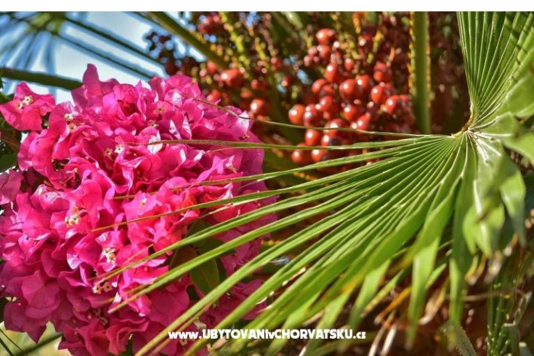 Appartements Dominika – foto 23