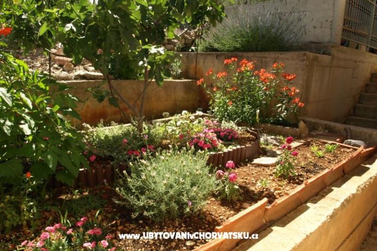 Appartements Ljilja – foto 10
