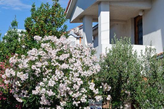 Appartements Ruža – foto 2