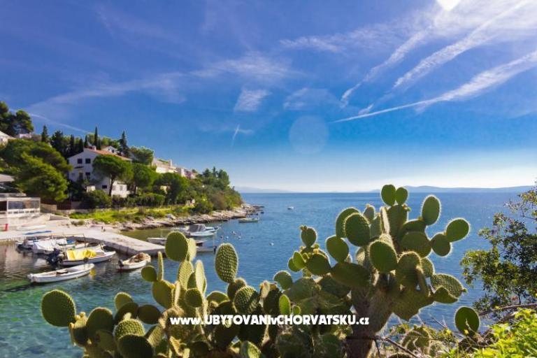 Appartements ŠUKI – foto 5