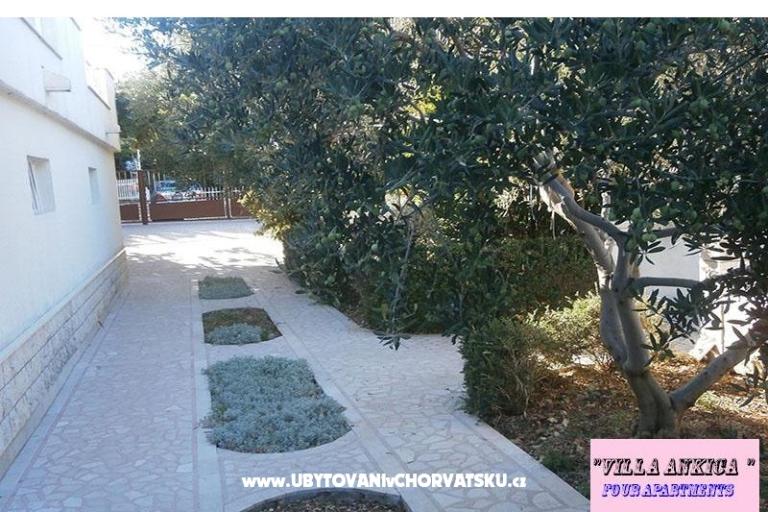 Appartements Villa Ankica – foto 10