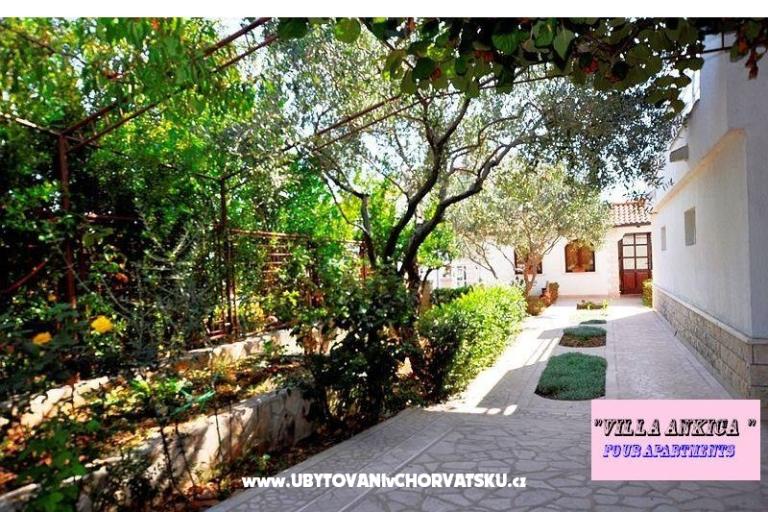 Appartements Villa Ankica – foto 6