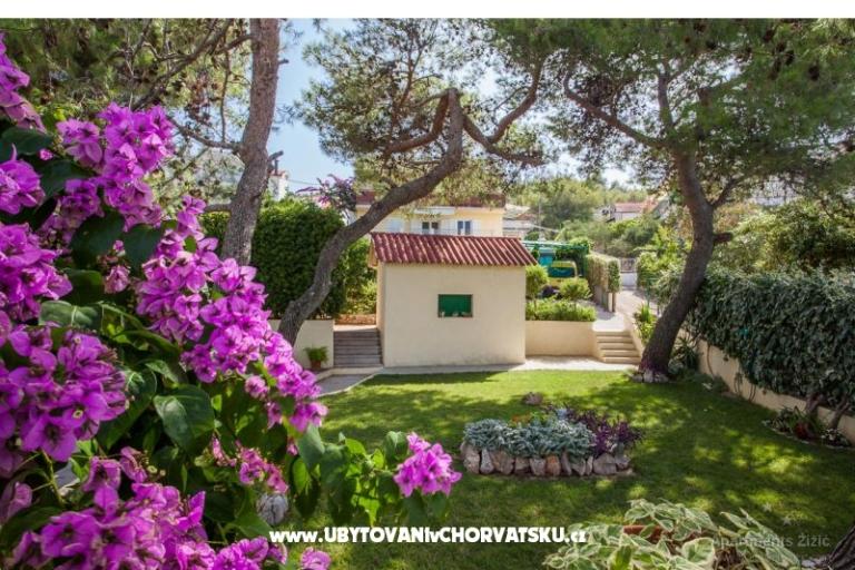Appartements Žižić – foto 11