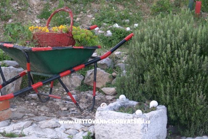 Carmen Appartements – foto 15