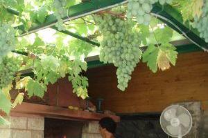 Appartements Matijaca – foto 4