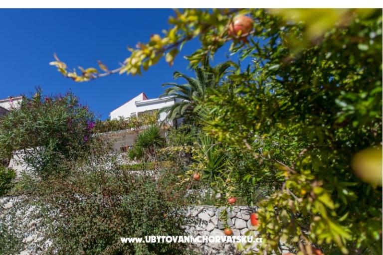 Maison de vacances Bok – foto 15