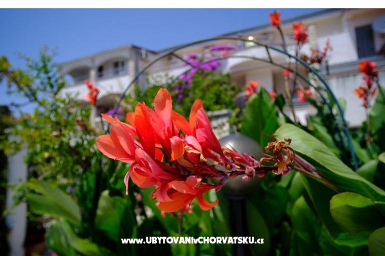 Pension Jeric – foto 14