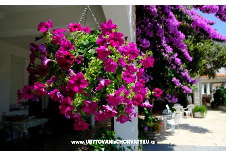 Pension Jeric – foto 3