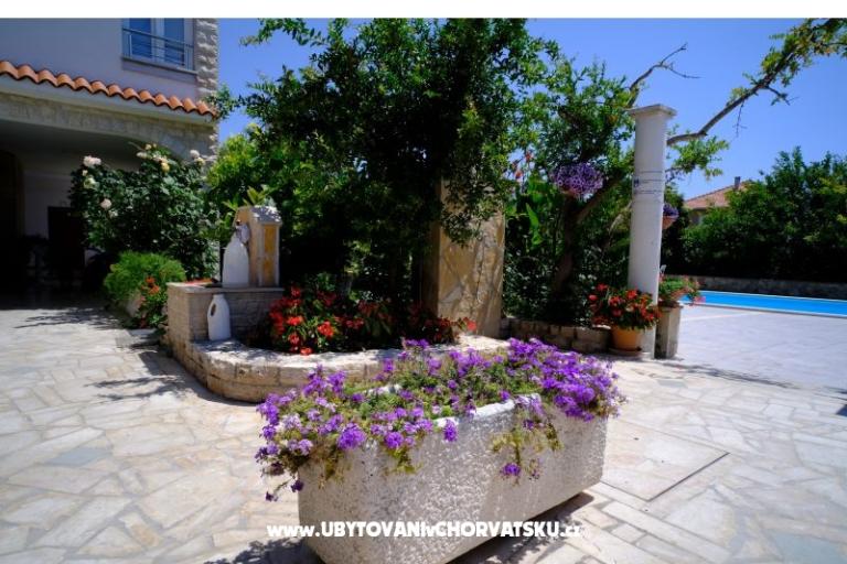 Pension Jeric – foto 7